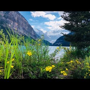 Meet your Posher, Robin